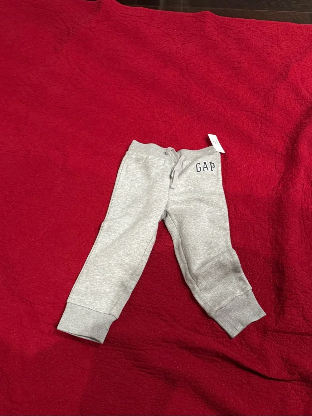 GAP Light Gray Toddler Zip Hoodie with Navy Logo